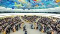 UN HumanRights Council Special Meeting24Nov2022.jpg