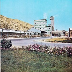 Shiraz fertilizer factory.jpg