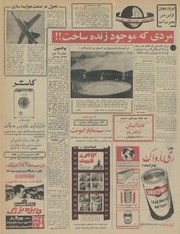 → صفحهٔ قبلی