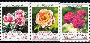 StampsRCD2437.jpg
