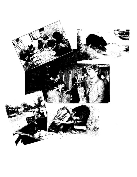 پرونده:ویرانگران پوشینه دوم.pdf