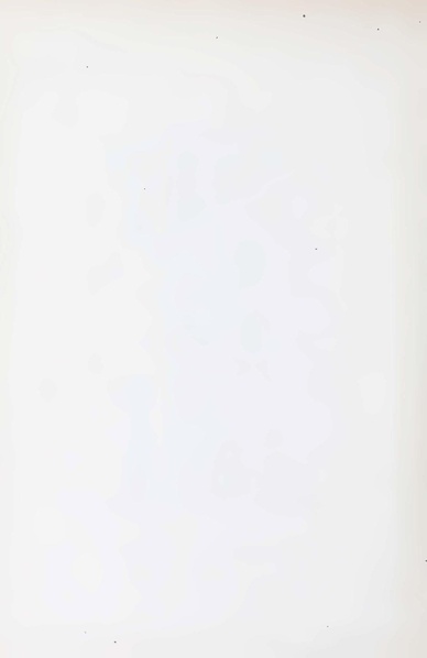 پرونده:Persiav2.pdf