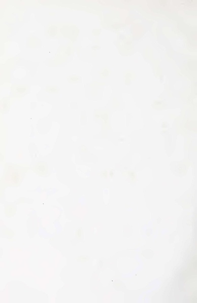 پرونده:Persiav2.pdf